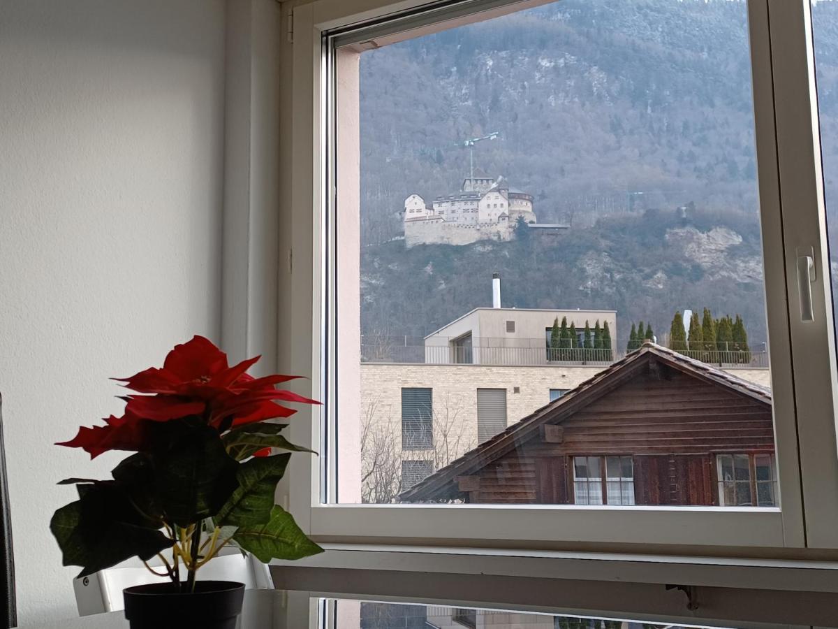 Castle View Big Appartment Vaduz Center מראה חיצוני תמונה